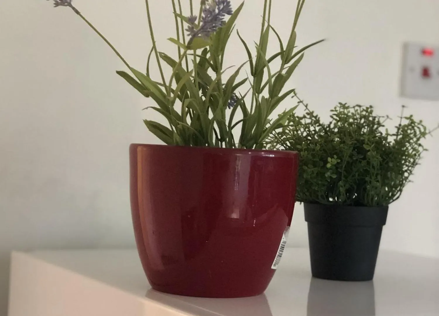 希思罗机场苹果屋宾馆酒店 希思罗